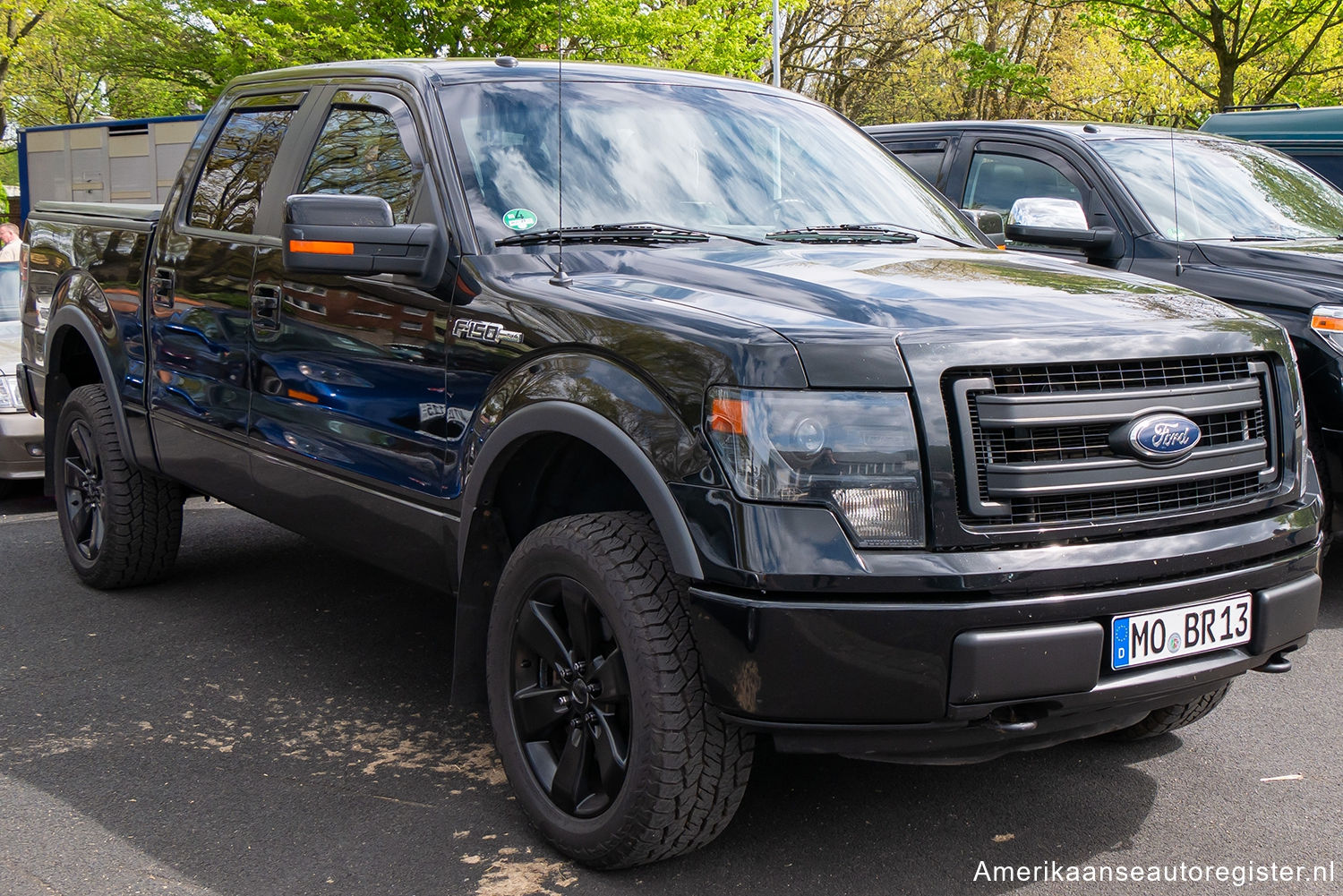 Ford F-Series uit 2013